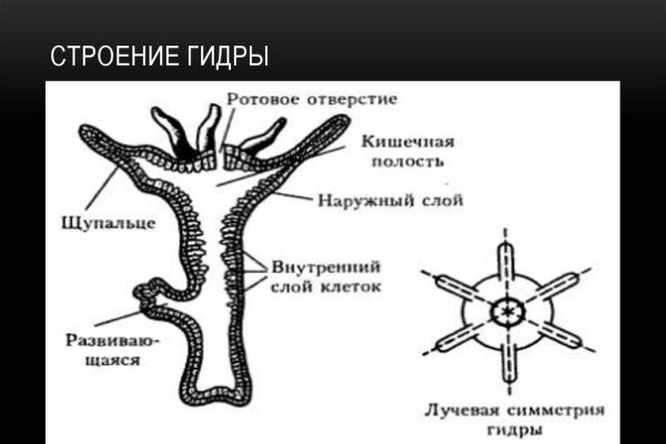 Кракен тор зеркало