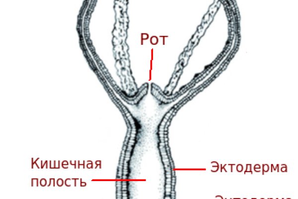 Актуальный домен кракена