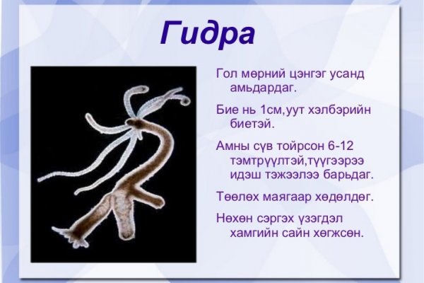Как найти официальный сайт кракен