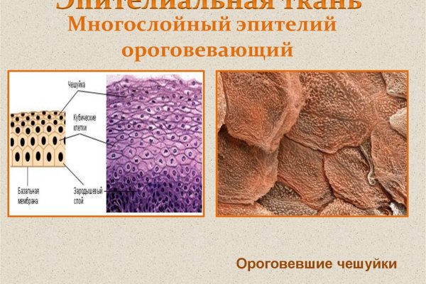 На сайте кракен пропал пользователь